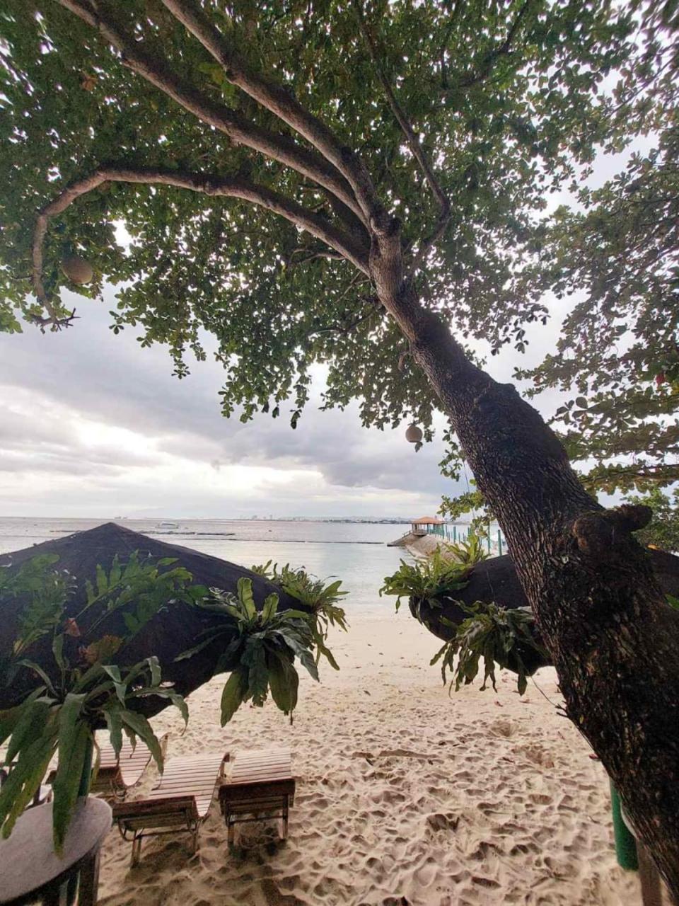Chema'S By The Sea Hotell Samal Exteriör bild